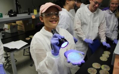 Student working with bacteria cultures.