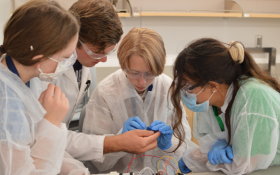 Summer Programs Get Students on Track
