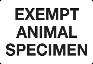 Exempt Animal Specimen image
