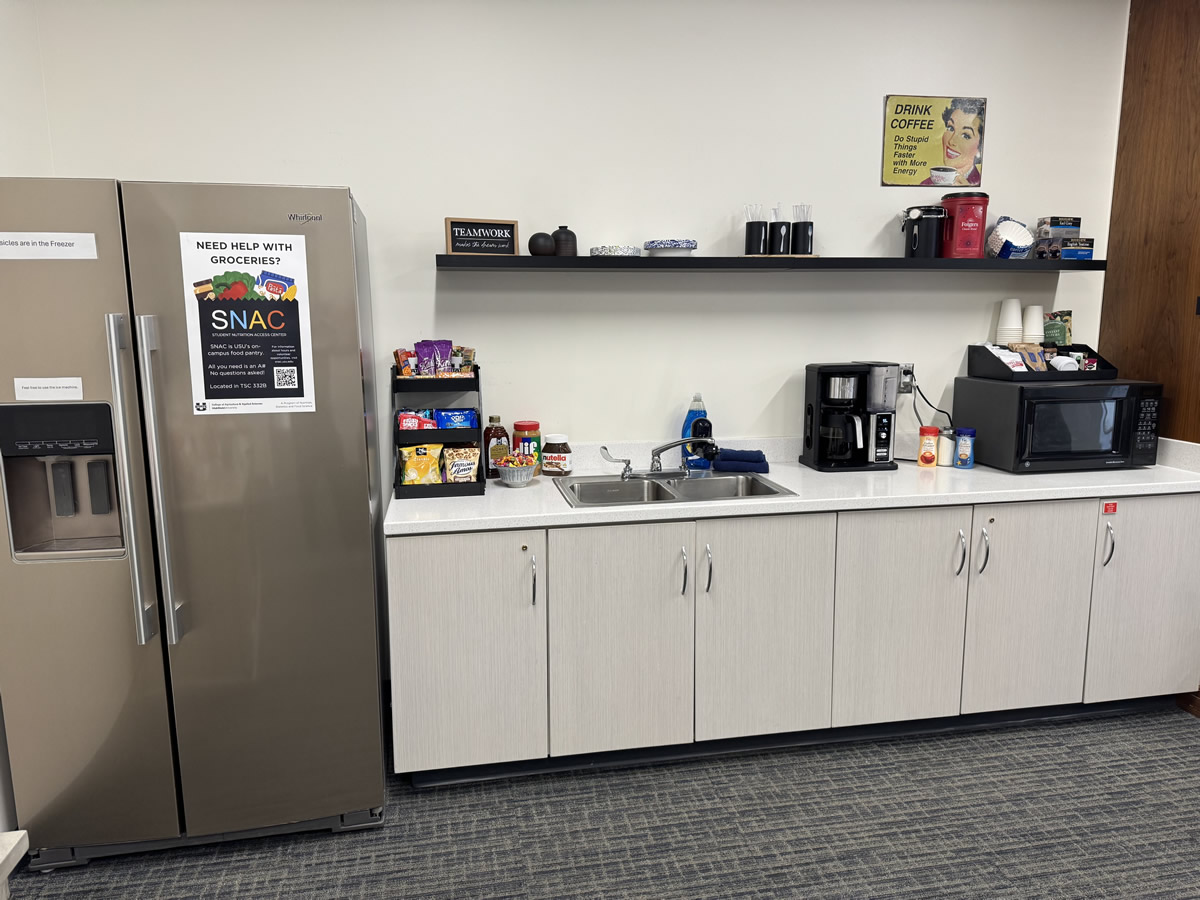 Closer view of the fridge, and cabinet counter space.